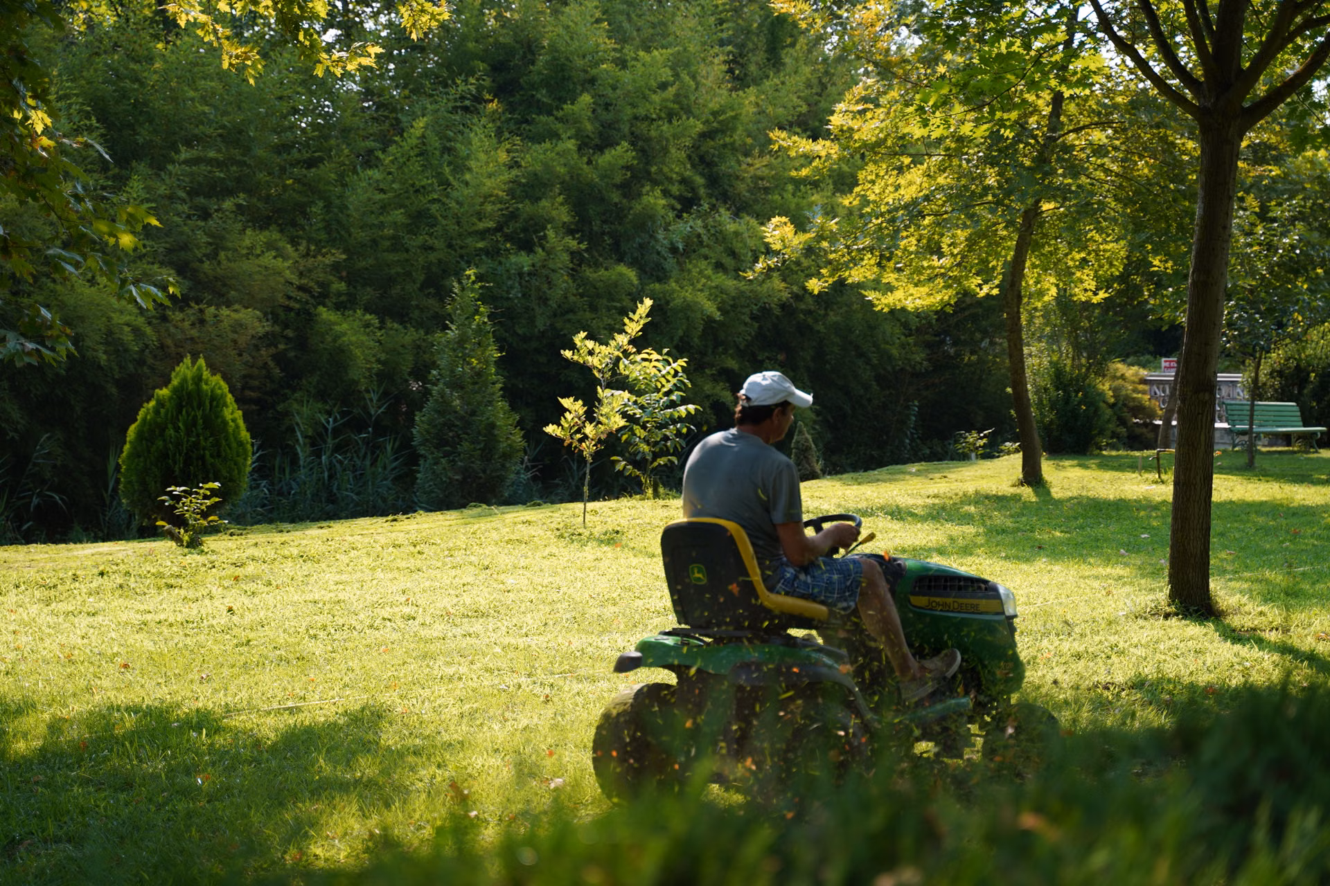 Crew member mowing a lawn under mature trees