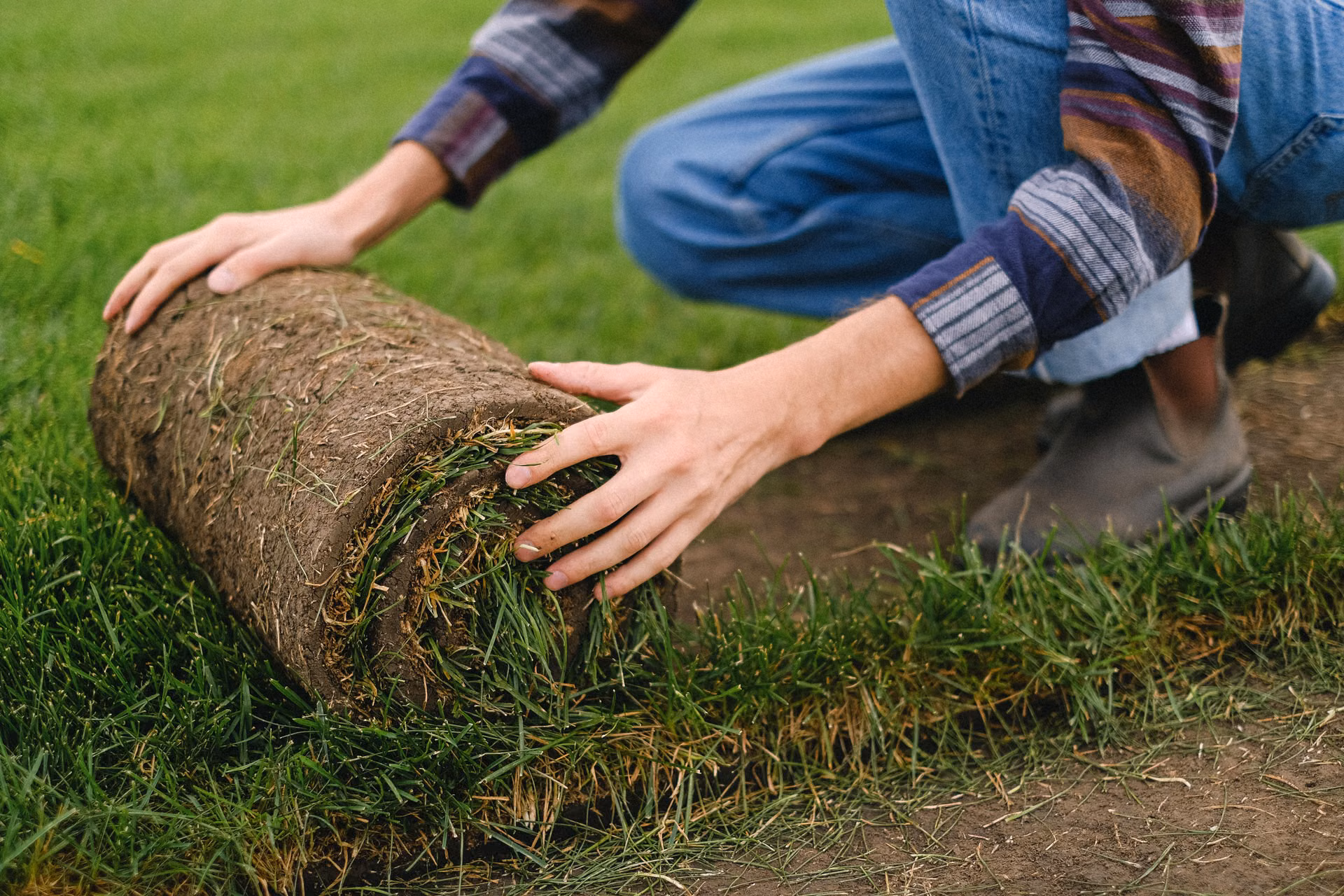 Hands rolling out fresh sod on prepared soil